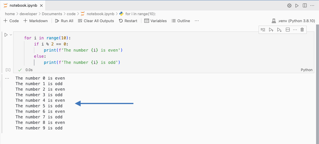 vs code jupyter notebook code cell output