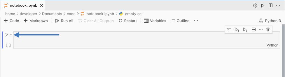 vs code jupyter notebook run code cell